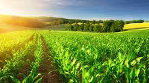 Landbau ökologisch